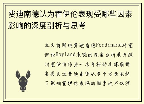 费迪南德认为霍伊伦表现受哪些因素影响的深度剖析与思考 费迪南德认为霍伊伦表现受哪些因素影响的深度剖析与思考