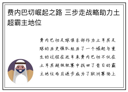 费内巴切崛起之路 三步走战略助力土超霸主地位